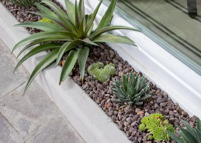 Dimmidirimini - In Affitto מלון דירות 4*